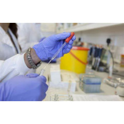 Liver & Kidney Function 1300